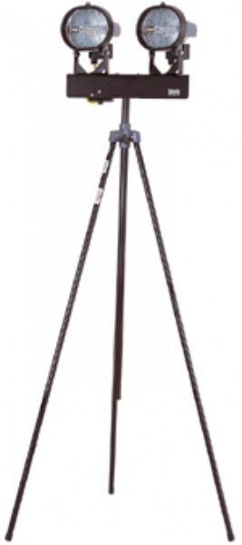 Picture of DOUBLE SITE LIGHT 110V  SWING LEG