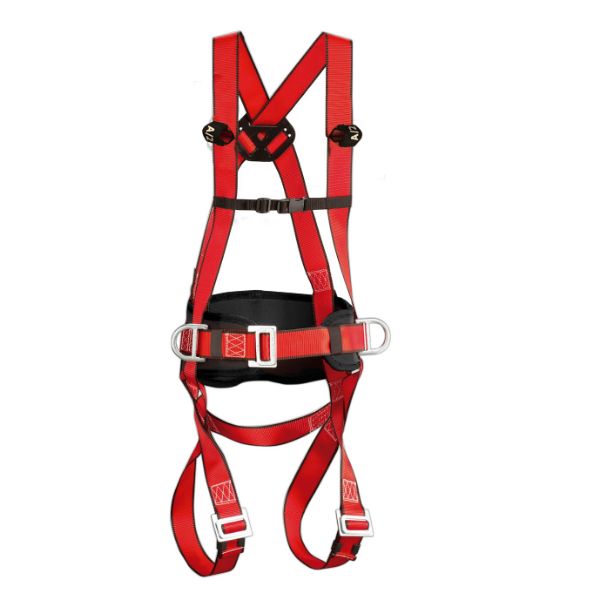 Picture of CLIMAX HARNESS MAXIPRO 4 POINT