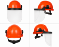Picture of CLIMAX  FACE SHIELD